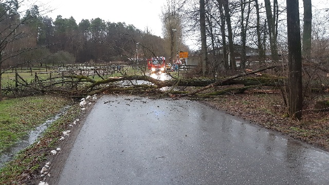 20230203_163227_resized groß.jpg